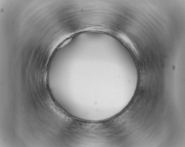 X0000088091284200706011554