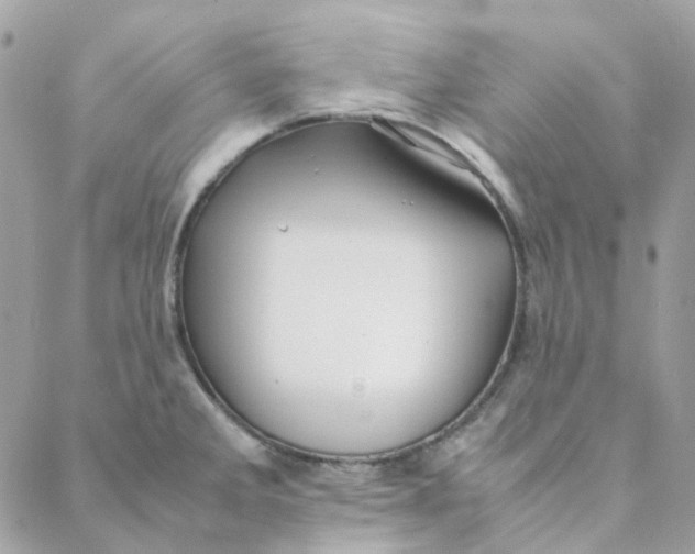 X0000088091285200706011554