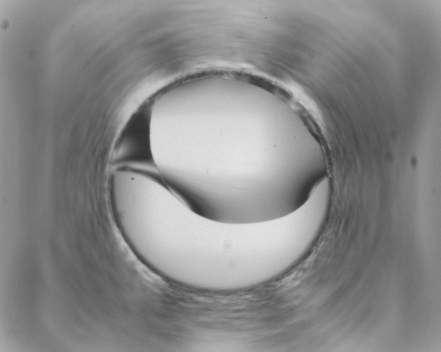 X0000088091287200706011554