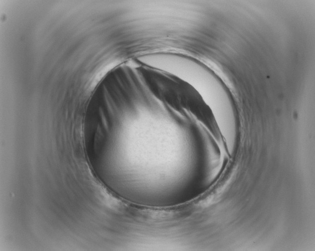 X0000088091289200706011554