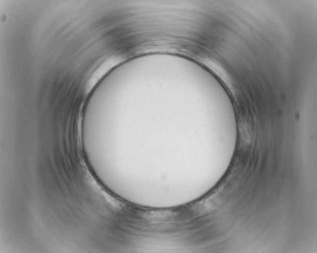 X0000088091290200706011554