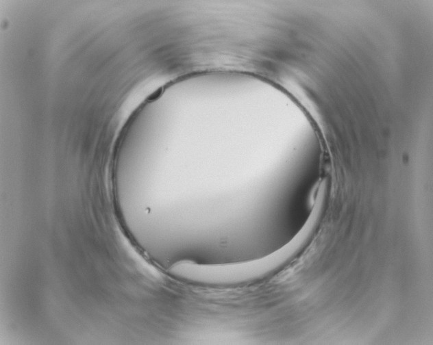 X0000088091293200706011554