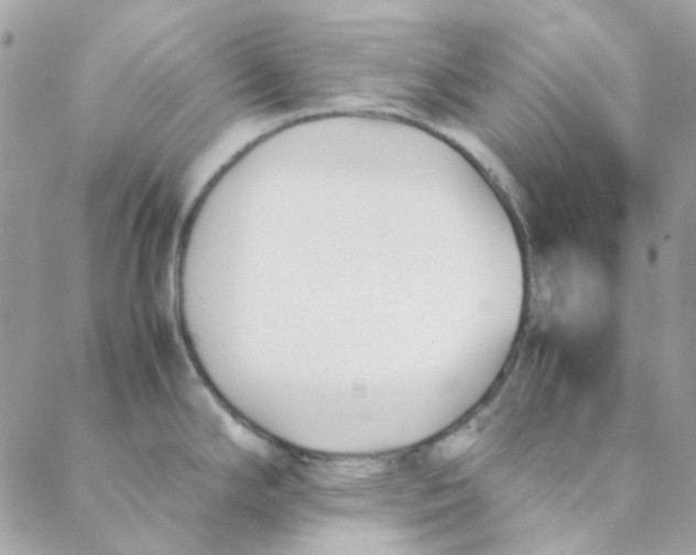 X0000088091294200706011554