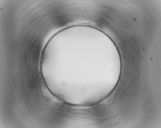 X0000088091296200706011554