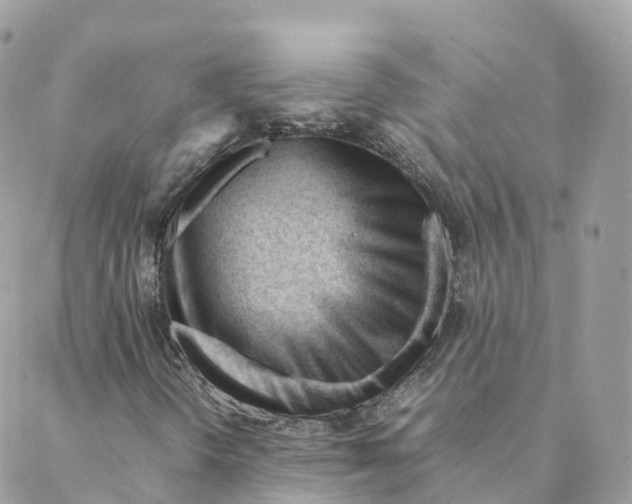 X0000088091298200706011553