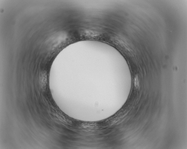 X0000088091299200706011553