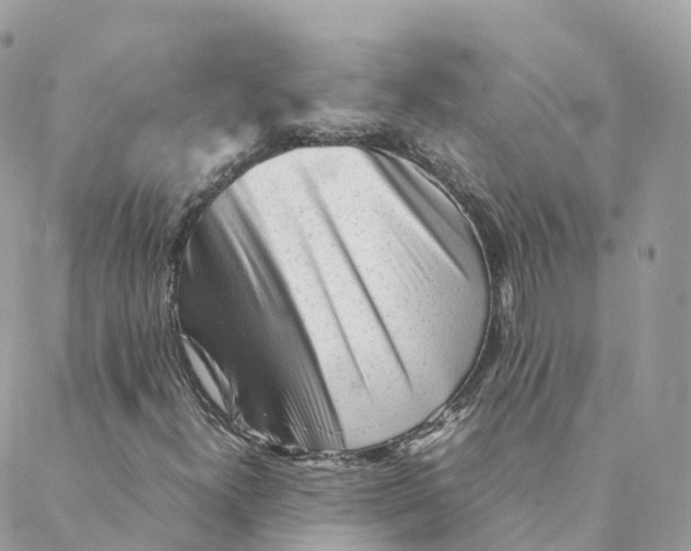 X0000088091300200706011553