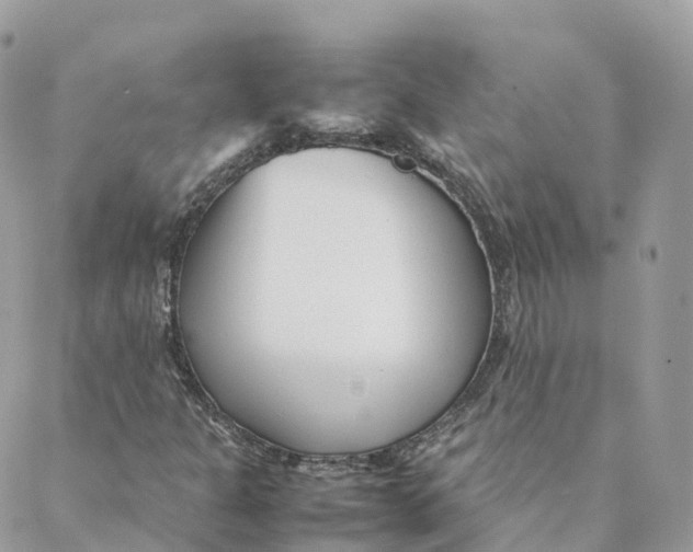 X0000088091301200706011553