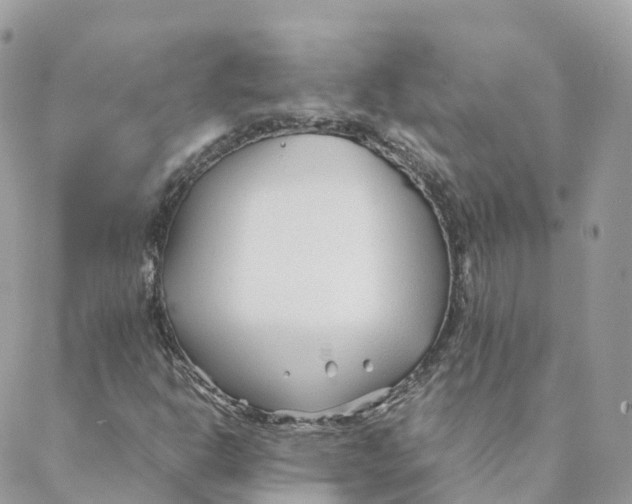 X0000088091302200706011553