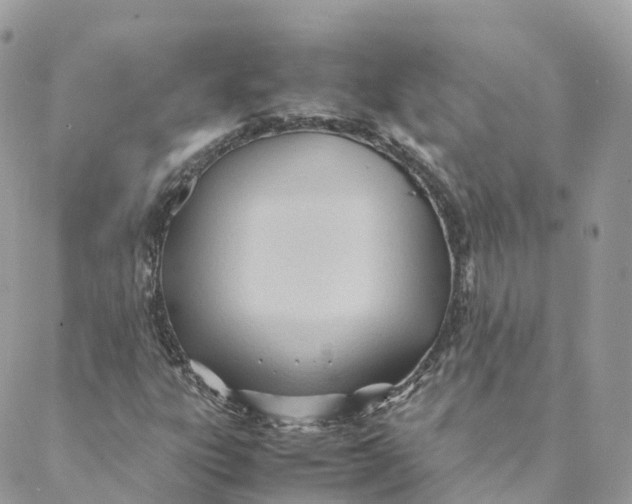 X0000088091303200706011553