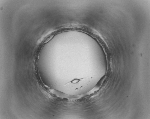 X0000088091304200706011553