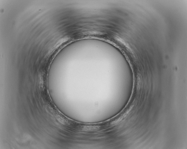 X0000088091305200706011553