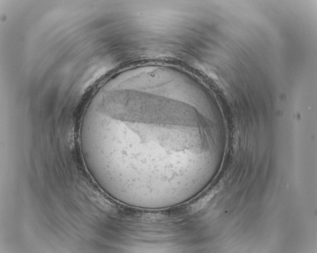 X0000088091306200706011553