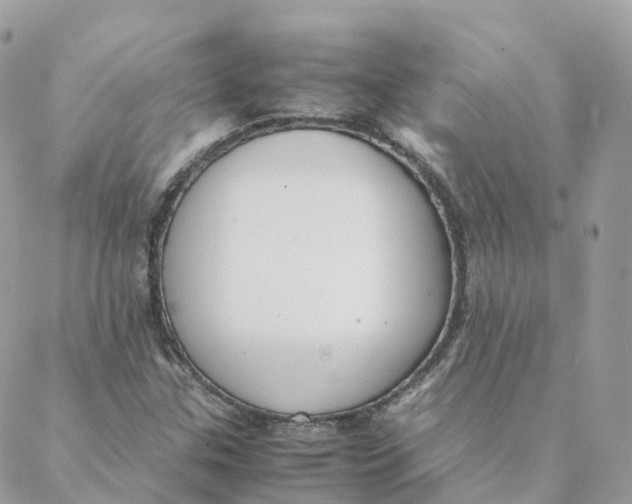 X0000088091307200706011553