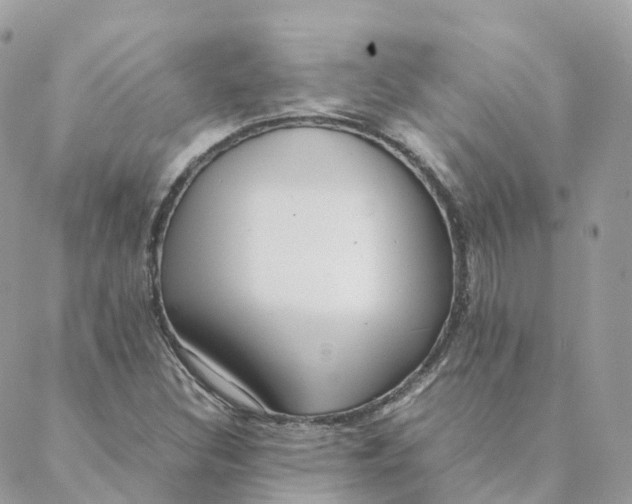 X0000088091308200706011553