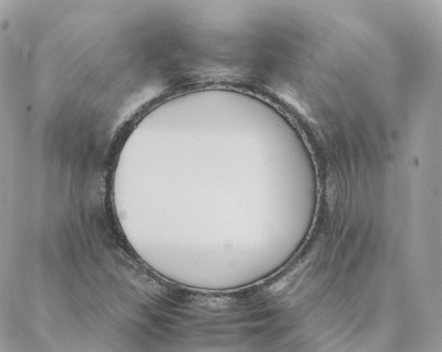 X0000088091309200706011553