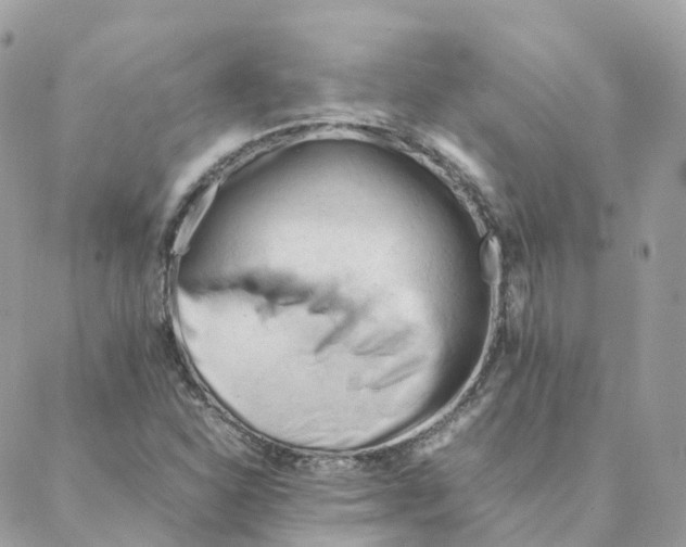 X0000088091310200706011553