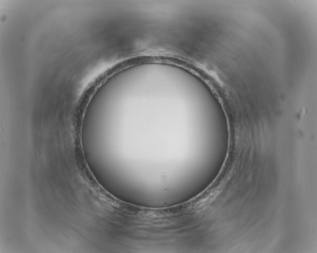 X0000088091311200706011553