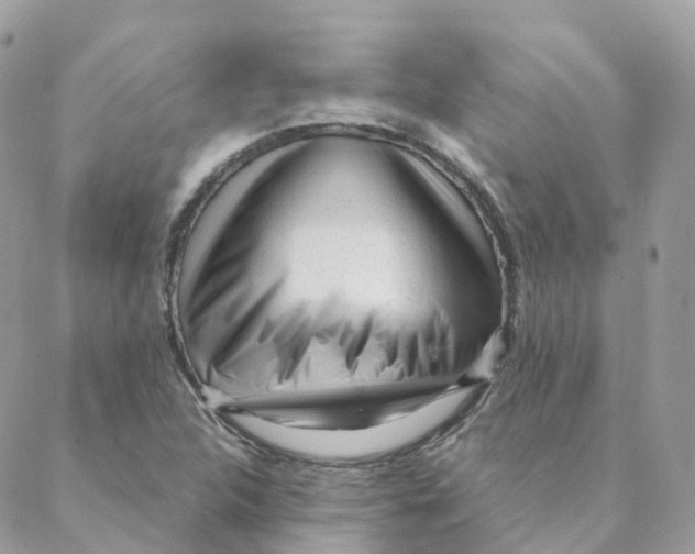 X0000088091312200706011553