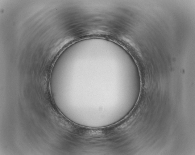 X0000088091313200706011554