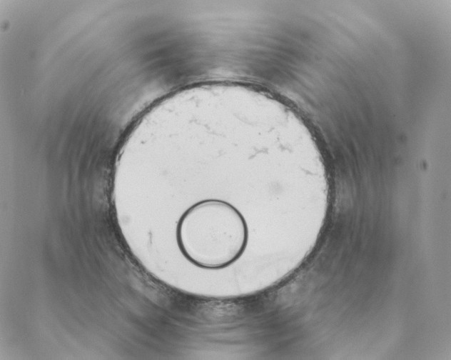 X0000088091314200706011554