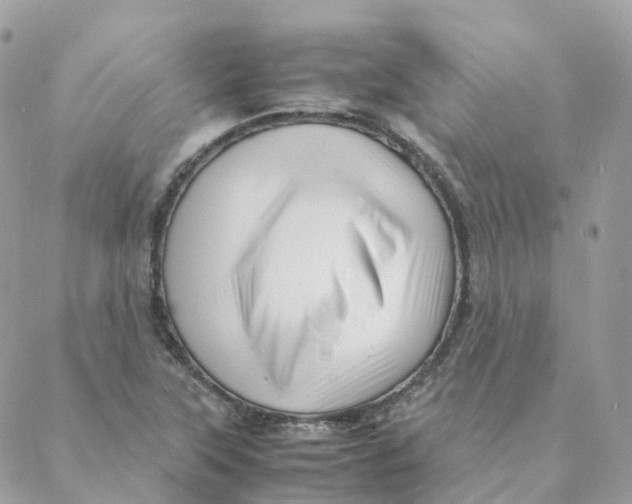 X0000088091315200706011554