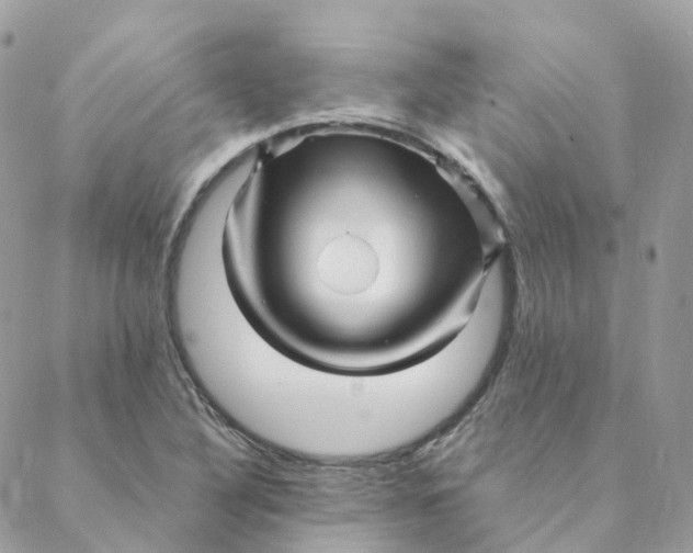 X0000088091316200706011554