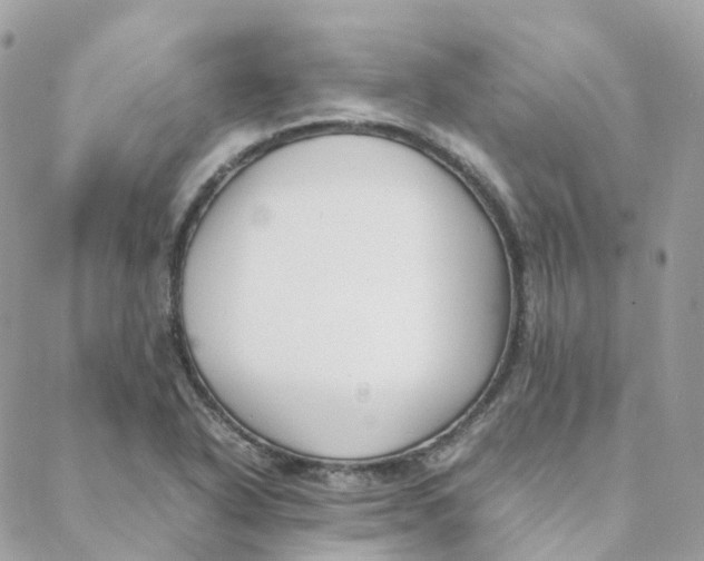 X0000088091318200706011554