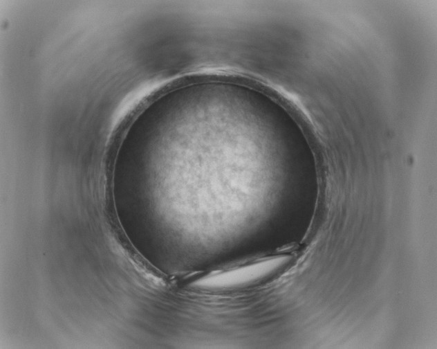 X0000088091319200706011554