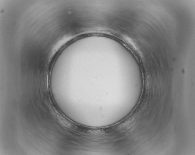 X0000088091320200706011554