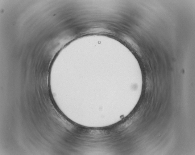 X0000088091322200706011554