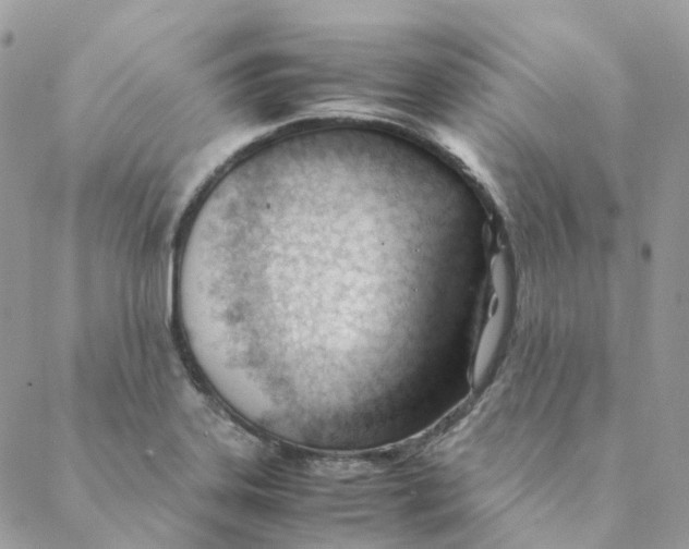 X0000088091323200706011554