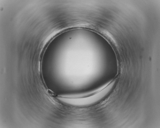 X0000088091324200706011554