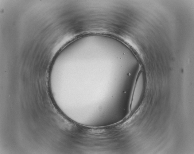 X0000088091325200706011554