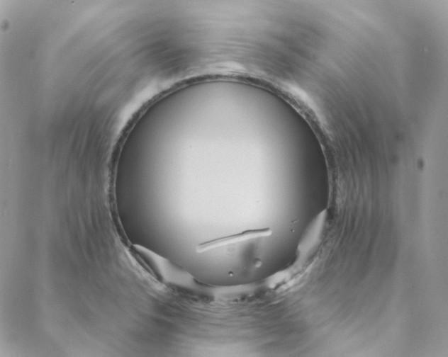 X0000088091326200706011554