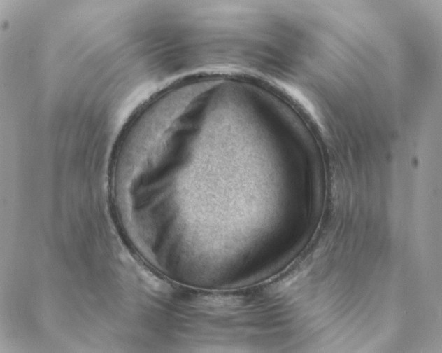 X0000088091327200706011554