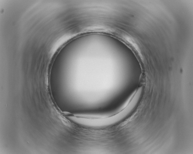 X0000088091328200706011554