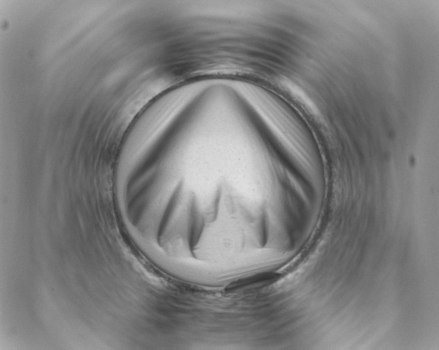 X0000088091329200706011554