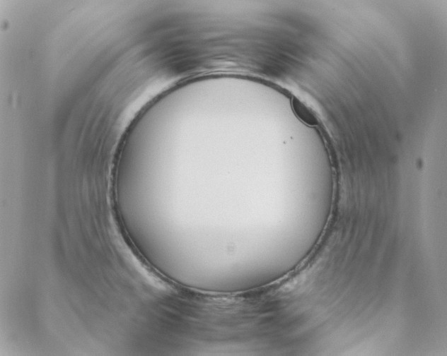 X0000088091333200706011554