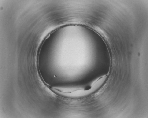 X0000088091334200706011554