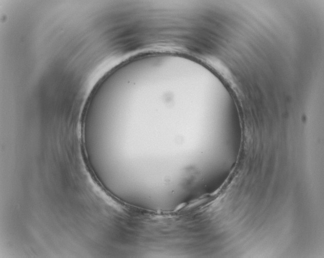 X0000088091335200706011554