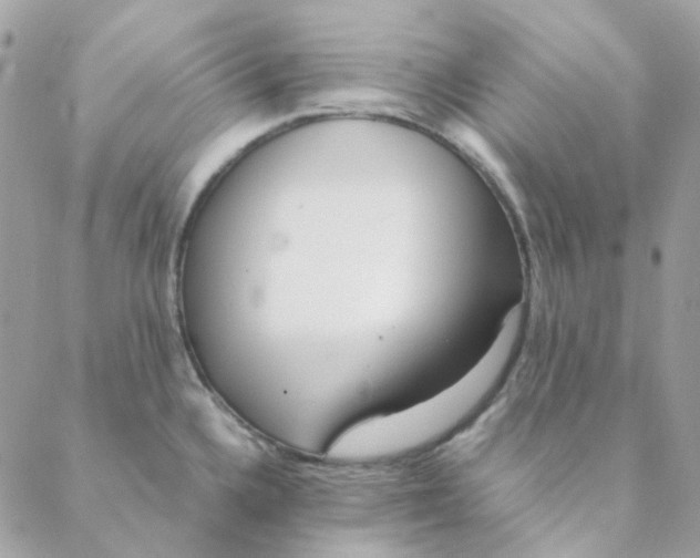 X0000088091336200706011554