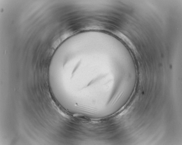 X0000088091337200706011554