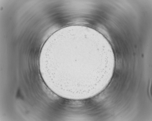 X0000088091338200706011554