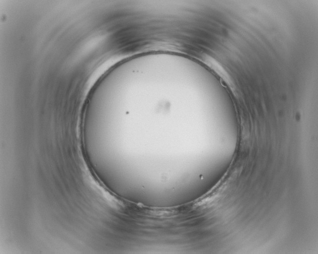 X0000088091339200706011554