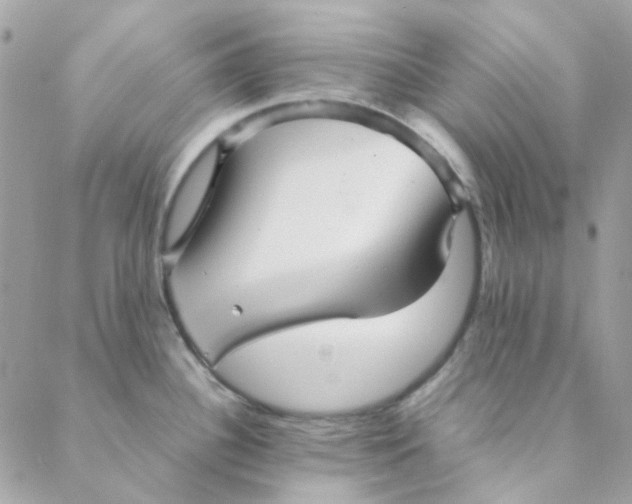 X0000088091340200706011554