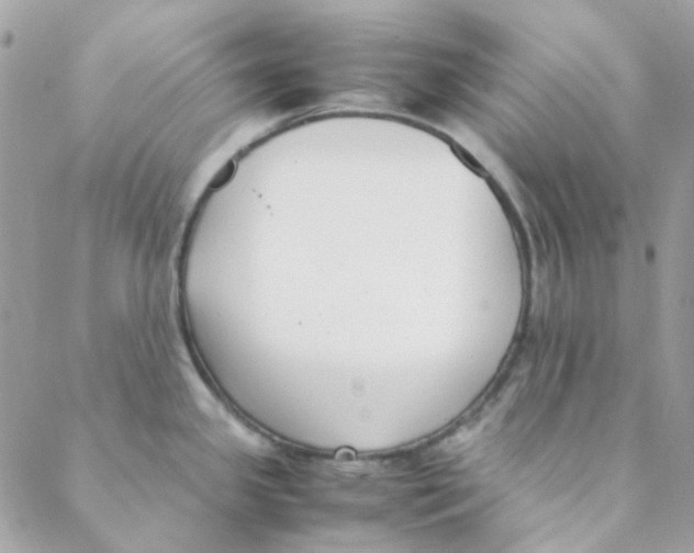 X0000088091341200706011554