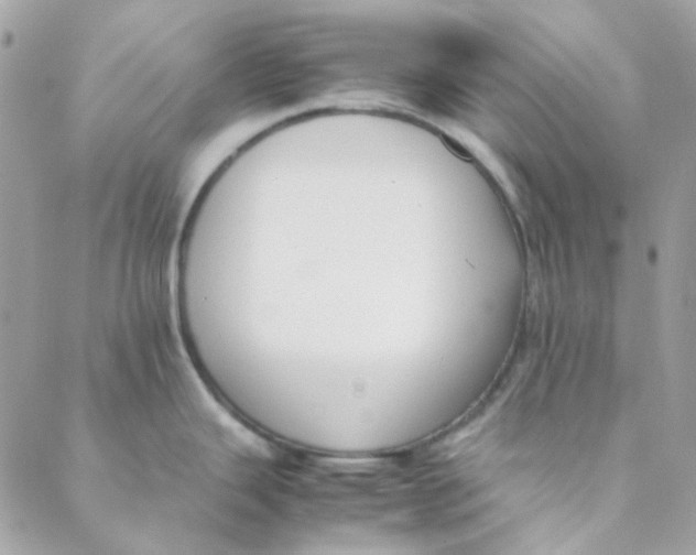 X0000088091343200706011554