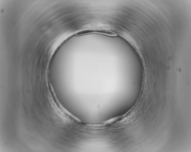 X0000088091344200706011554