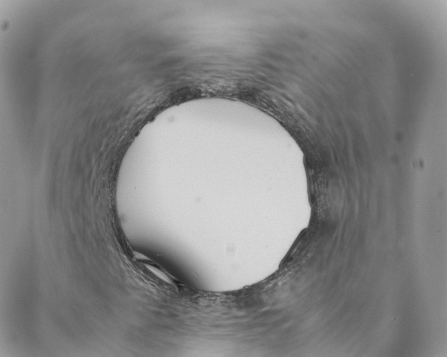 X0000088091345200706011553